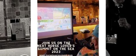 Horse Lovers On The Sea Offers Education and Fun Press Release